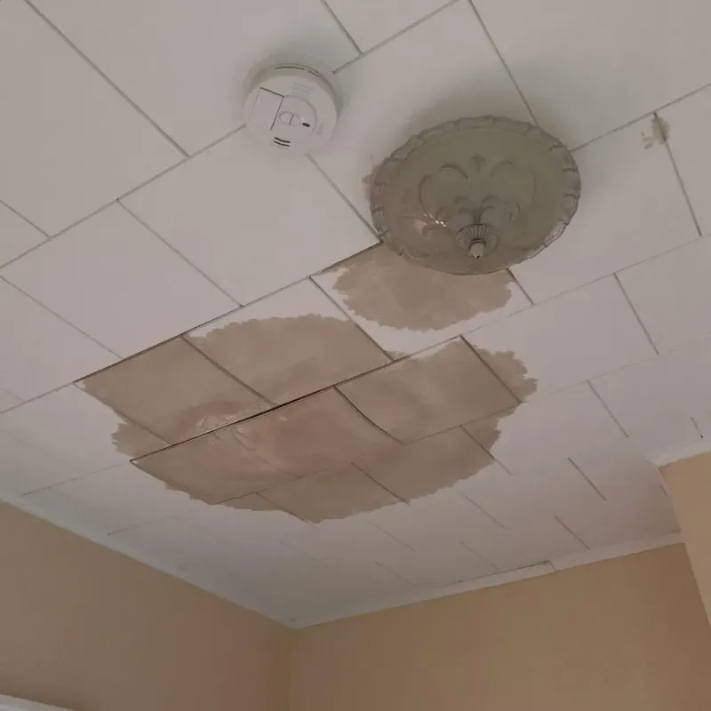 Ceiling Water Damage Repair in Chester, NJ