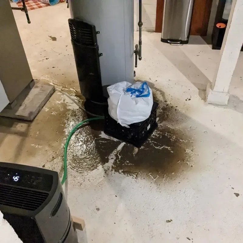 Sewage Backup Cleanup Service in Chester, NJ